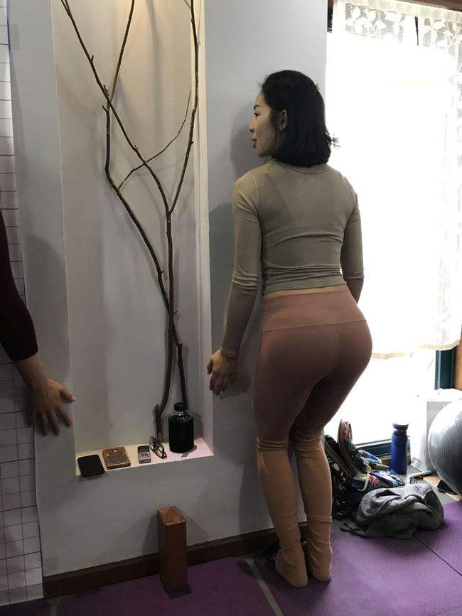 仙变2破解版下载